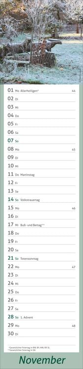 Produktbild: times&more Garten Langplaner 2027