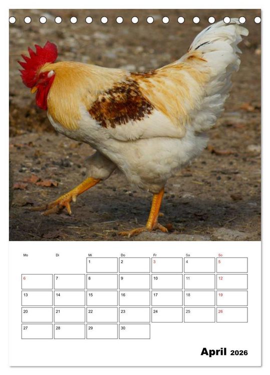 Produktbild: H&uuml;hner Terminplaner (Tischkalender 2026 DIN A5 hoch), CALVENDO Monatskalender