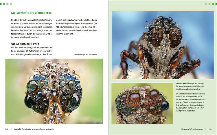 Produktbild: Extreme Wildlife-Makrofotografie