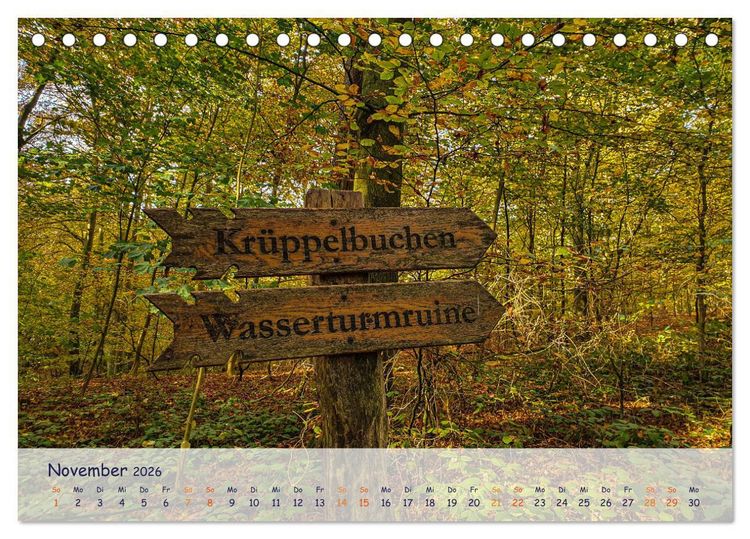Produktbild: R&uuml;genliebe (Tischkalender 2026 DIN A5 quer), CALVENDO Monatskalender