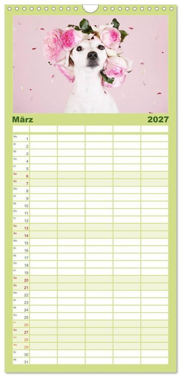 Produktbild: Familienplaner 2027 - Die Parson-Russell-Terrier...mit neuen Abenteuern aus der Hundeknipserei mit 5 Spalten (Wandkalender, 21 x 45 cm) CALVENDO