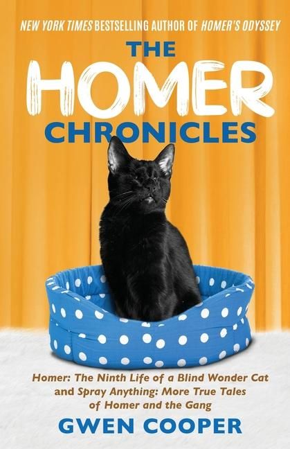 Produktbild: The Homer Chronicles