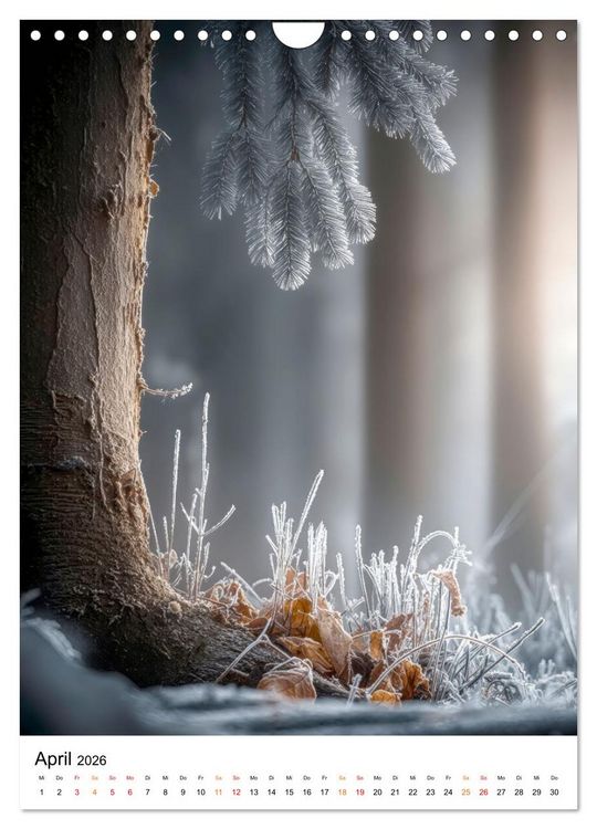 Produktbild: Wintermomente - Natur im wei&szlig;en Kleid (Wandkalender 2026 DIN A4 hoch), CALVENDO Monatskalender