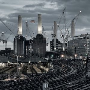 Produktbild: Animals (2018 Remix)