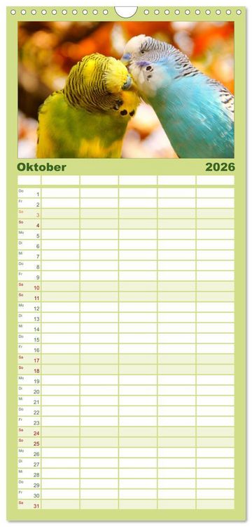 Produktbild: Familienplaner 2026 - Wellensittiche mit 5 Spalten (Wandkalender, 21 x 45 cm) CALVENDO