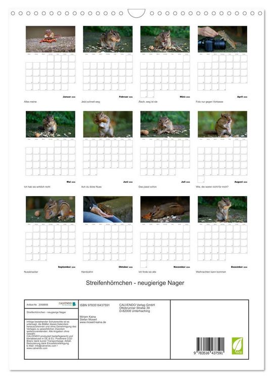 Produktbild: Streifenh&ouml;rnchen - neugierige Nager (Wandkalender 2026 DIN A3 hoch), CALVENDO Monatskalender
