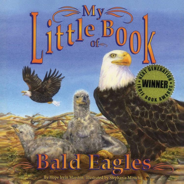 Produktbild: My Little Book of Bald Eagles