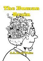 Produktbild: The Human Brain (Lost Between Details, #3)
