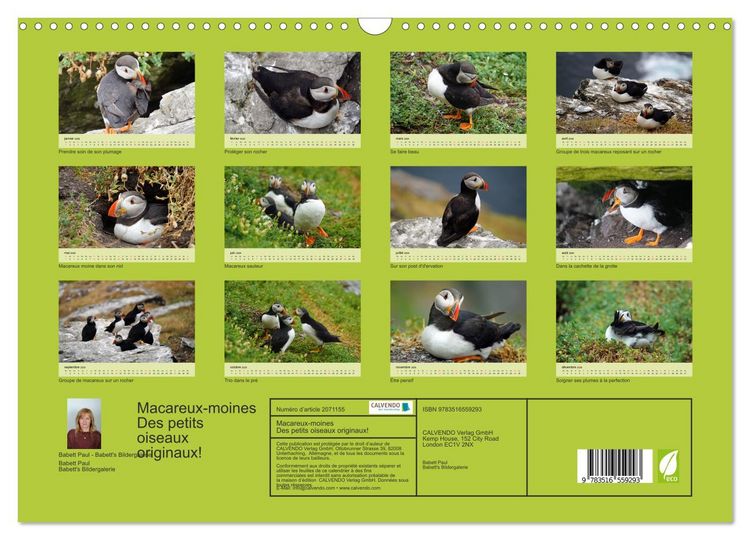 Produktbild: Macareux-moines Des petits oiseaux originaux! (Calendrier mural 2026 DIN A3 vertical), CALVENDO calendrier mensuel