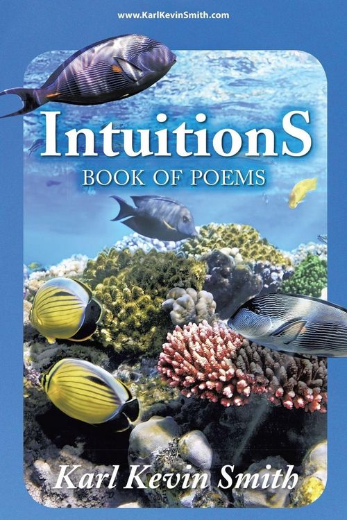Produktbild: Intuitions
