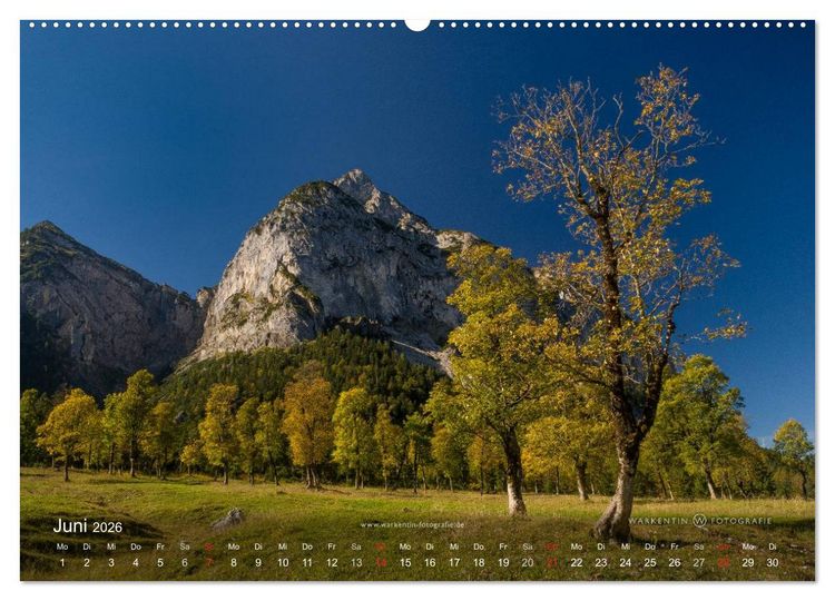 Produktbild: Gro&szlig;er Ahornboden - Europas gro&szlig;er Ahornwald (Wandkalender 2026 DIN A2 quer), CALVENDO Monatskalender