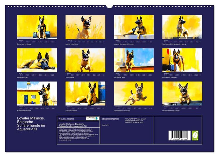 Produktbild: Loyaler Malinois. Belgische Sch&auml;ferhunde im Aquarell-Stil (hochwertiger Premium Wandkalender 2026 DIN A2 quer), Kunstdruck in Hochglanz