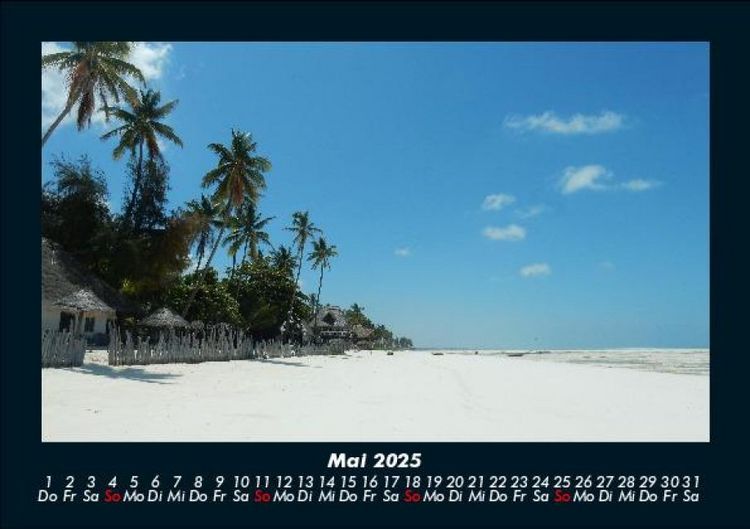 Produktbild: B&auml;ume 2025 Fotokalender DIN A5
