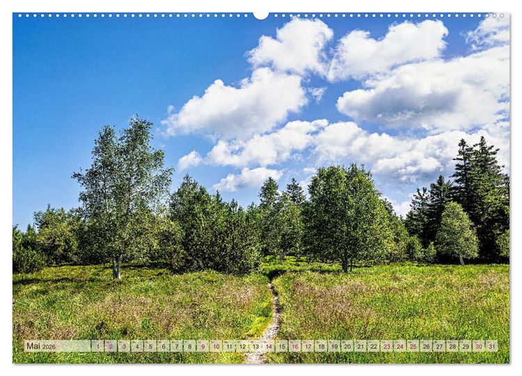 Produktbild: Entlang der Schwarzwald-Hochstra&szlig;e (Wandkalender 2026 DIN A2 quer), CALVENDO Monatskalender