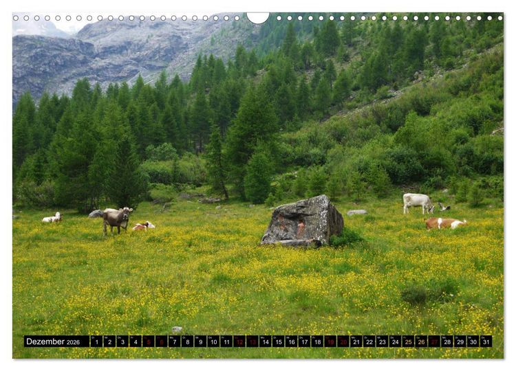Produktbild: Sulden - S&uuml;dtiroler Bergdorf am Fu&szlig;e des Ortlers (Wandkalender 2026 DIN A3 quer), CALVENDO Monatskalender