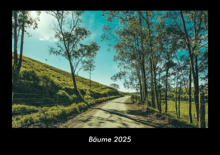 Produktbild: B&auml;ume 2025 Fotokalender DIN A3