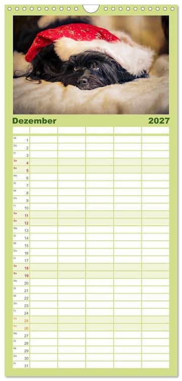 Produktbild: Familienplaner 2027 - Havaneser - Wirbelwinde aus Kuba mit 5 Spalten (Wandkalender, 21 x 45 cm) CALVENDO