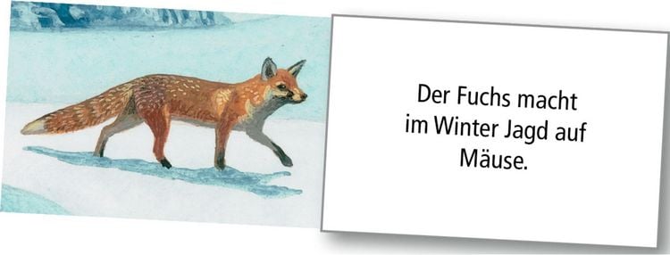 Produktbild: Wand-Adventskalender &ndash; Wintertiere bei Nacht
