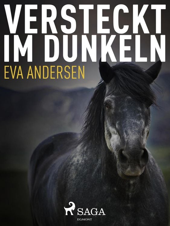 Produktbild: Versteckt im Dunkeln