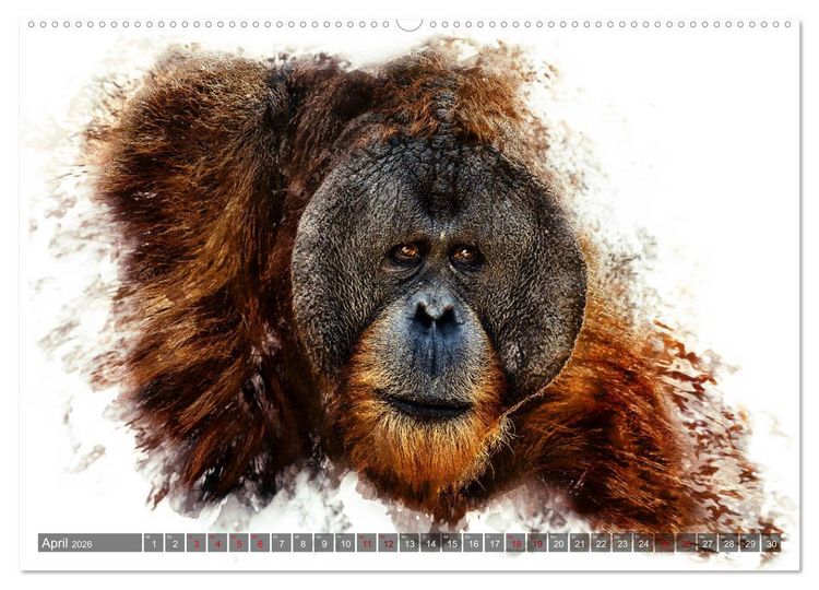 Produktbild: Tierportraits - Fine Art (Wandkalender 2026 DIN A2 quer), CALVENDO Monatskalender
