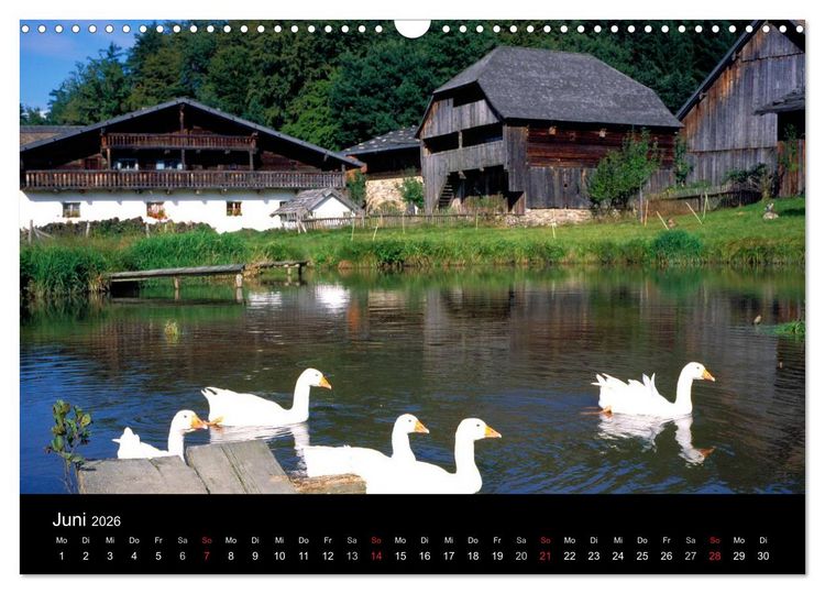 Produktbild: Bayerischer Wald (Wandkalender 2026 DIN A3 quer), CALVENDO Monatskalender