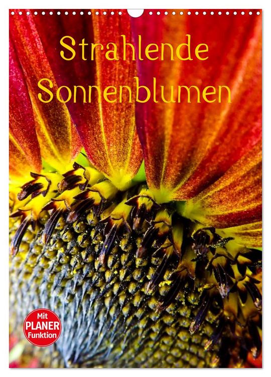 Produktbild: Strahlende Sonnenblumen (Wandkalender 2026 DIN A3 hoch), CALVENDO Monatskalender