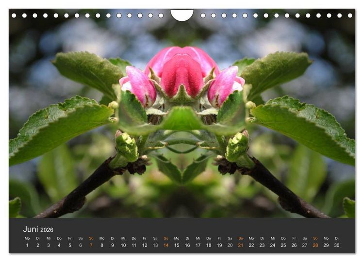 Produktbild: Spiegelwelten - Im Reich der Naturwesen (Wandkalender 2026 DIN A4 quer), CALVENDO Monatskalender