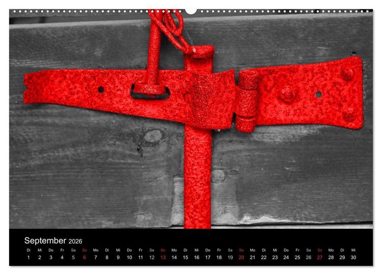 Produktbild: Blickfang in Rot (Wandkalender 2026 DIN A2 quer), CALVENDO Monatskalender