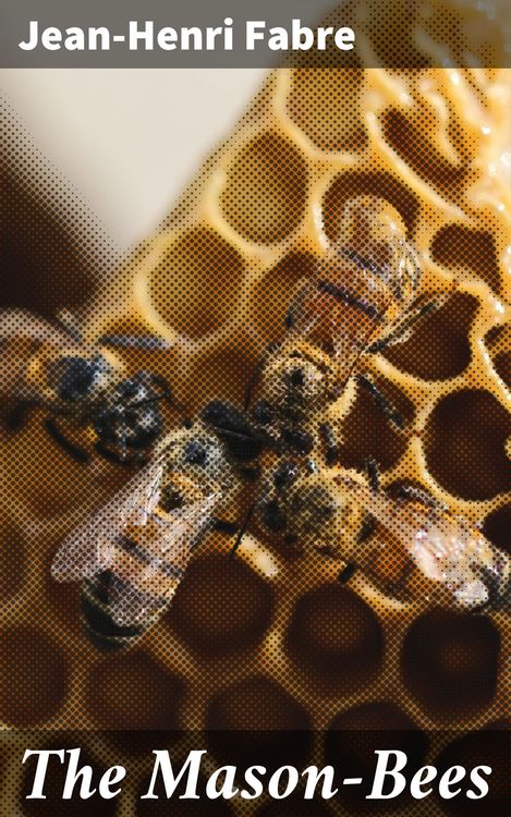 Produktbild: The Mason-Bees