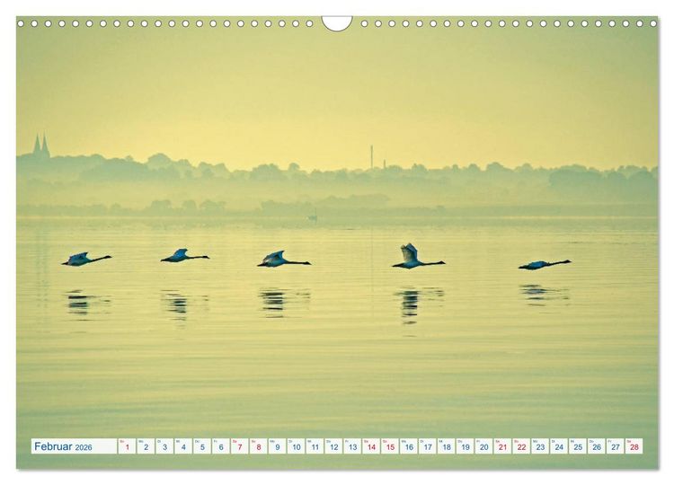 Produktbild: Flensburg Fjord (Wandkalender 2026 DIN A3 quer), CALVENDO Monatskalender