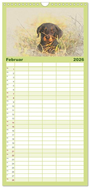Produktbild: Familienplaner 2026 - Hundewelpen 2026 mit 5 Spalten (Wandkalender, 21 x 45 cm) CALVENDO