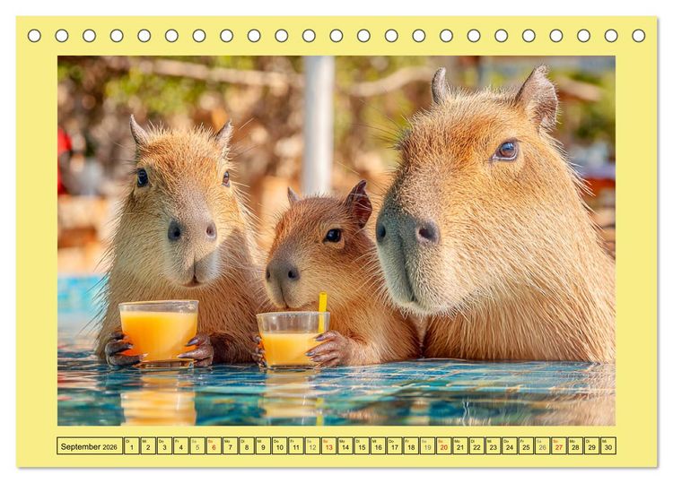 Produktbild: Capybaras on Tour. Wasserschweine als Weltenbummler (Tischkalender 2026 DIN A5 quer), CALVENDO Monatskalender
