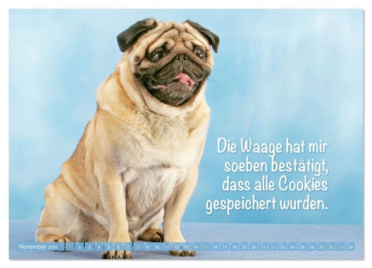 Produktbild: Der Mops: Nicht klein, sondern aufs Wesentliche reduziert. (Wandkalender 2026 DIN A3 quer), CALVENDO Monatskalender