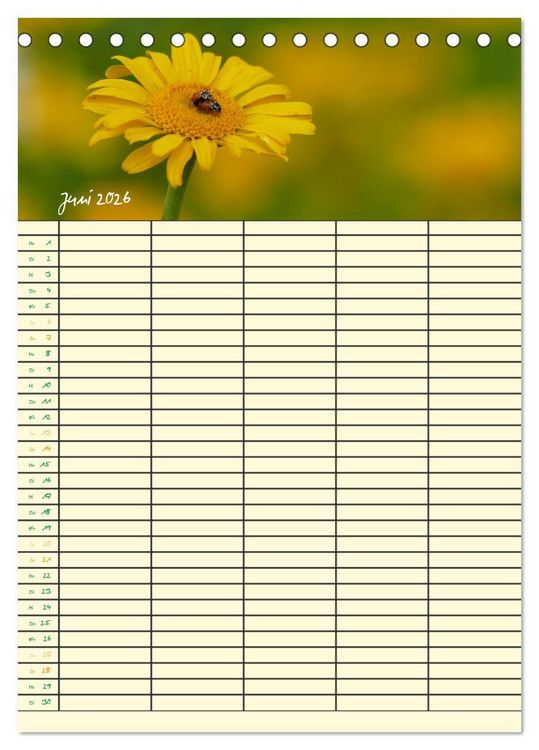 Produktbild: Kleine Natursch&ouml;nheiten (Tischkalender 2026 DIN A5 hoch), CALVENDO Monatskalender