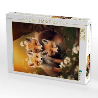 Produktbild: CALVENDO Puzzle Drei Fuchswelpen | 2000 Teile Lege-Gr&ouml;&szlig;e 90x67cm Foto-Puzzle f&uuml;r gl&uuml;ckliche Stunden