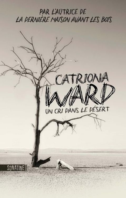 Produktbild: Un cri dans le d&eacute;sert