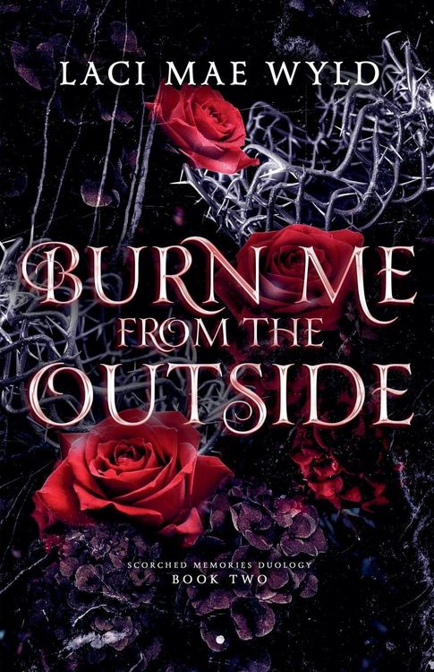 Produktbild: Burn Me From The Outside