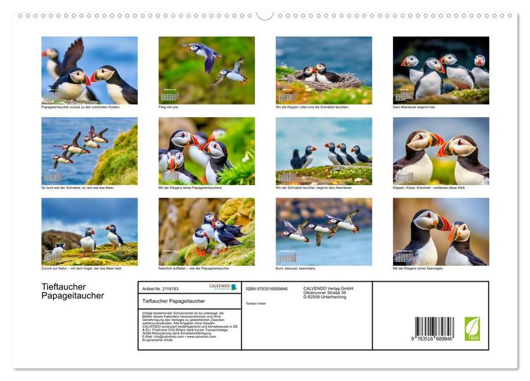 Produktbild: Tieftaucher Papageitaucher (hochwertiger Premium Wandkalender 2026 DIN A2 quer), Kunstdruck in Hochglanz
