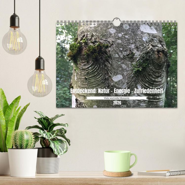 Produktbild: Entdeckend: Natur - Energie - Zufriedenheit (Wandkalender 2026 DIN A4 quer), CALVENDO Monatskalender