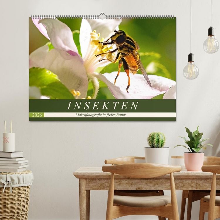 Produktbild: INSEKTEN - Makrofotografie in freier Natur (Wandkalender 2026 DIN A2 quer), CALVENDO Monatskalender