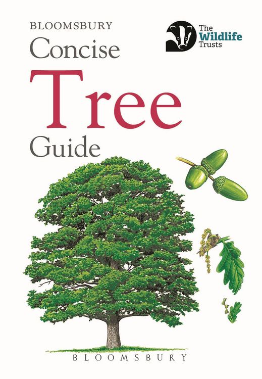 Produktbild: Concise Tree Guide