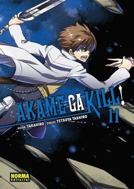 Produktbild: Akame ga kill! 11