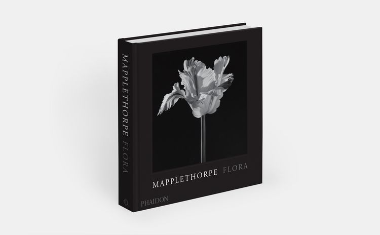 Produktbild: Mapplethorpe Flora: The Complete Flowers (2024)