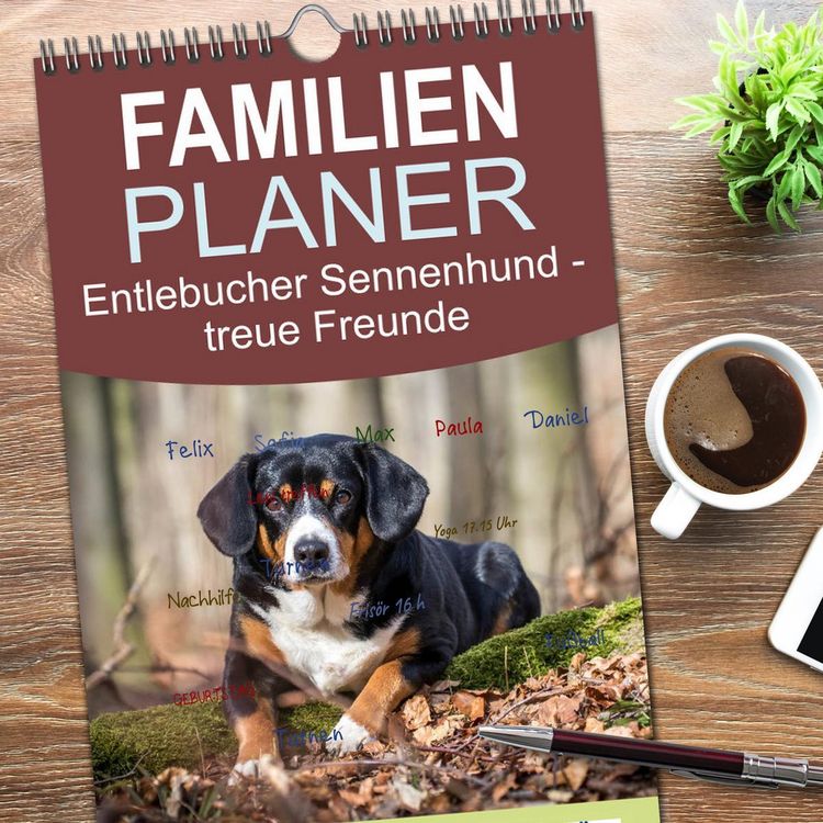 Produktbild: Familienplaner 2026 - Entlebucher Sennenhund - treue Freunde mit 5 Spalten (Wandkalender, 21 x 45 cm) CALVENDO