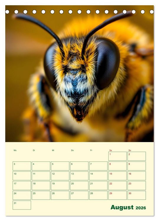 Produktbild: Bienenblick &ndash; Ein Jahr mit den Bienen (Tischkalender 2026 DIN A5 hoch), CALVENDO Monatskalender