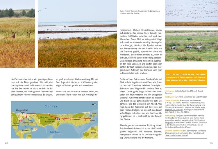 Produktbild: 52 kleine & gro&szlig;e Eskapaden in Mecklenburg-Vorpommern an der Ostsee