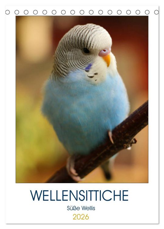 Produktbild: WELLENSITTICHE - S&uuml;&szlig;e Wellis (Tischkalender 2026 DIN A5 hoch), CALVENDO Monatskalender