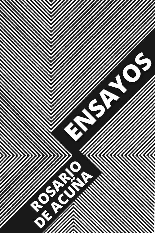 Produktbild: Ensayos