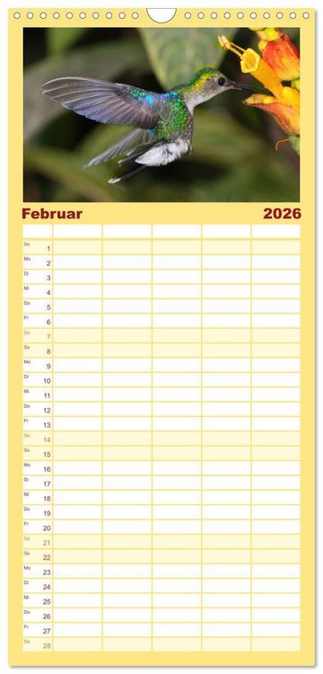 Produktbild: Familienplaner 2026 - Kolibris; Anmut, Sch&ouml;nheit, Farben mit 5 Spalten (Wandkalender, 21 x 45 cm) CALVENDO