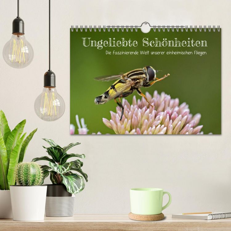 Produktbild: Ungeliebte Sch&ouml;nheiten - die faszinierende Welt unserer heimischen Fliegen (Wandkalender 2026 DIN A4 quer), CALVENDO Monatskalender